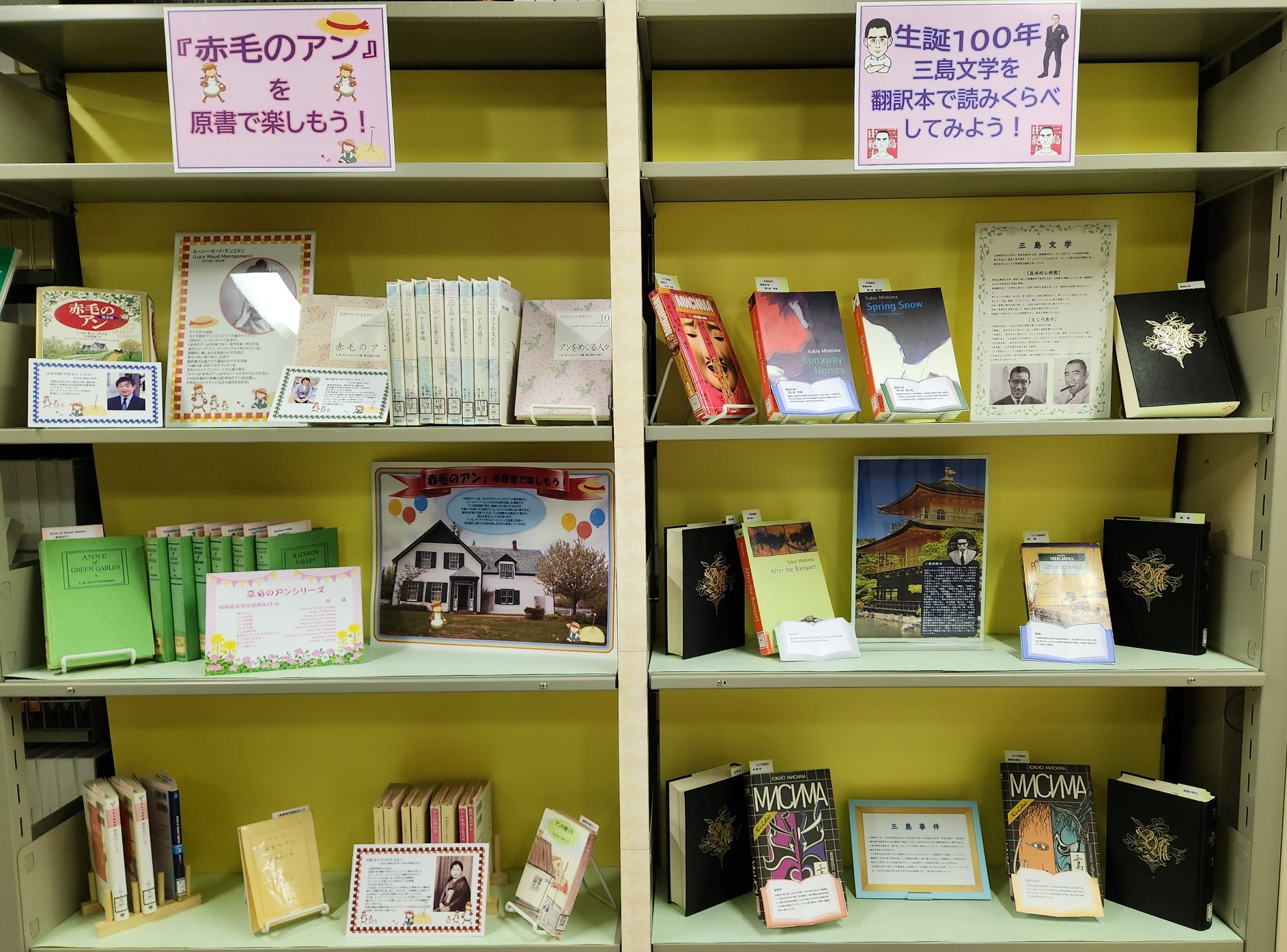 展示設置写真